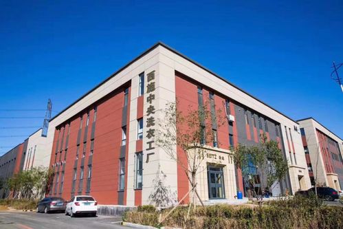 圓虎絕電插座 為工業用電安全保駕護航