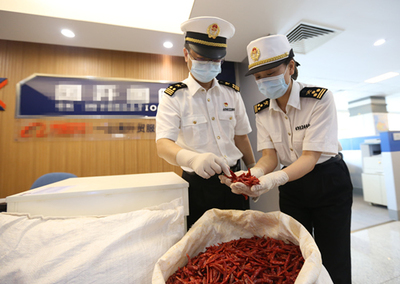 中非經(jīng)貿(mào)博覽會(huì) 合作成果豐碩，攜手共譜發(fā)展新篇